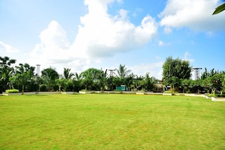Chandrabhaga Lawns | Party Halls and Function Halls in Trimbak Road, Nashik