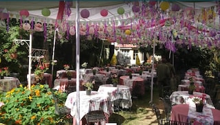Whispering Willows | Outdoor Villa & Farm House Wedding in Zirakpur, Chandigarh